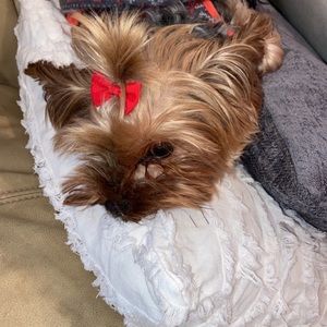 Meet your Posher, Alyssa